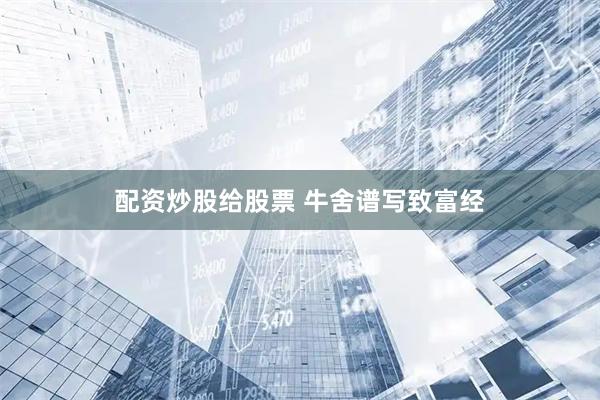 配资炒股给股票 牛舍谱写致富经